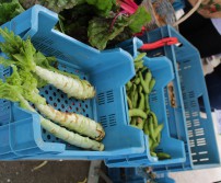 Marché bio de la Bourrache à Hognoul (juillet 2016)