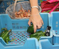 Marché bio de la Bourrache à Hognoul (juillet 2016)