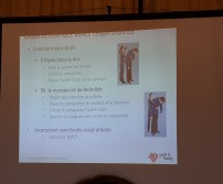 Formation premiers secours (Novembre 2019)