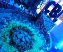 Afterwork de l'ADL à la CBC Banque (23 janvier 2020)
