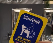 Sensibilisation aux chiens d'assistance (octobre 2020)