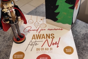 Awans Fête Noël: Alex Rogan vous explique comment participer