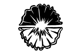 Nouvelle graphiste sur l’entité