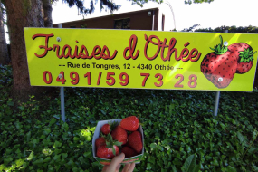 Les fraises d'Othée sont de retour 