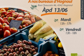 Retour du petit marché de La Bourrache