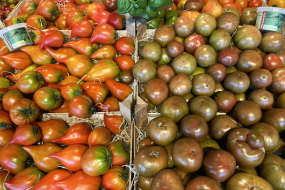 Les tomates Made In Awans de Terres et Saveurs sont là