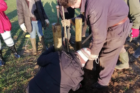 Geste solidaire: de nouvelles plantations via Planteurs d'Avenir