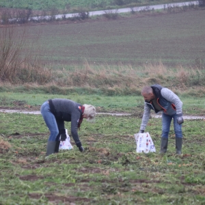 PROJET GTA: GLANAGE carottes (19 novembre 2022)