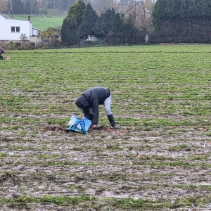 PROJET GTA: Glanage carottes (20 novembre 2023)