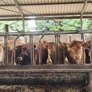 17e livraison des colis des Broutards (05-06/2024)