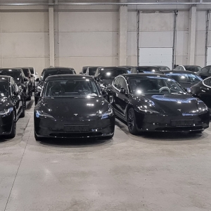Anniversaire de Tesla (10/10/2024)