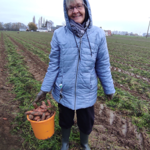 Glanage carottes (18/11/2025)