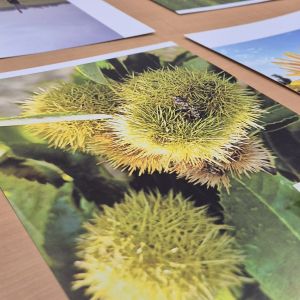 Hesby Club - Brainstorming (12/2025)